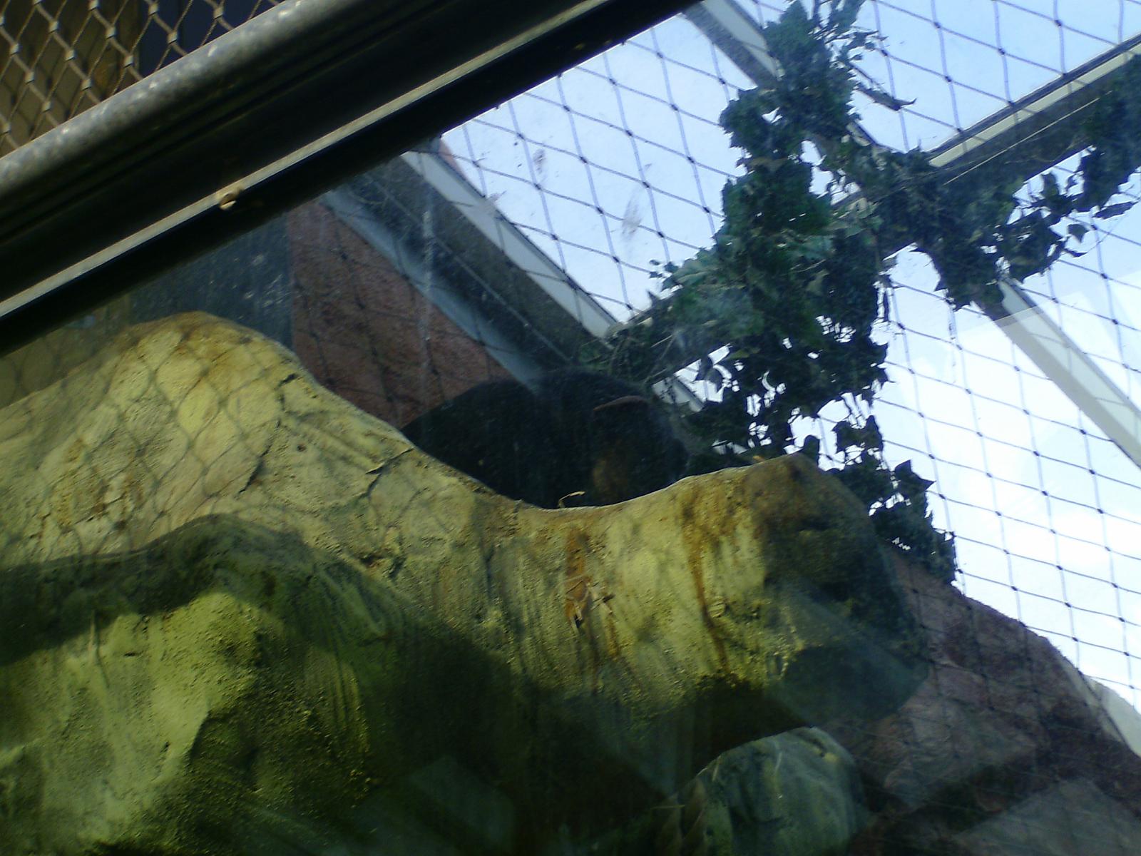 Zoom 18.10.08-150.jpg